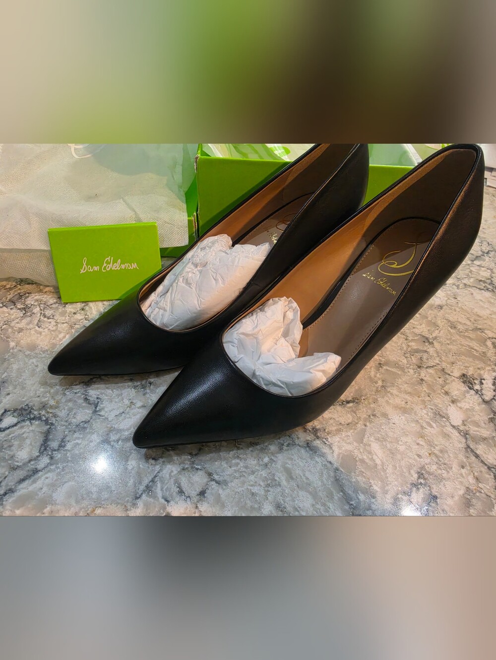 Sam Edelman Vienna Pointed Toe Pumps
